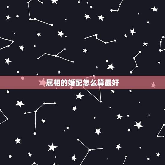 属相的婚配怎么算最好，什么属相配属相最好