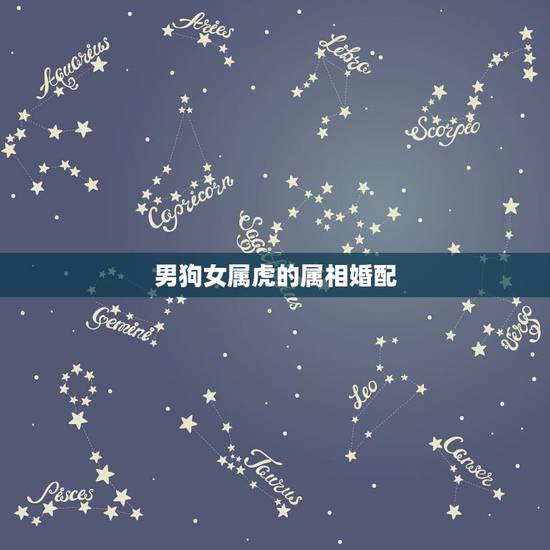 男狗女属虎的属相婚配，属虎女和什么属相最配？