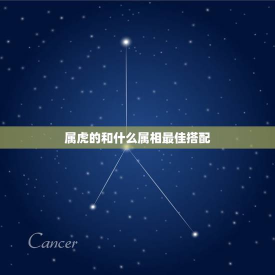 属虎的和什么属相最佳搭配，属虎的与什么属相最相配
