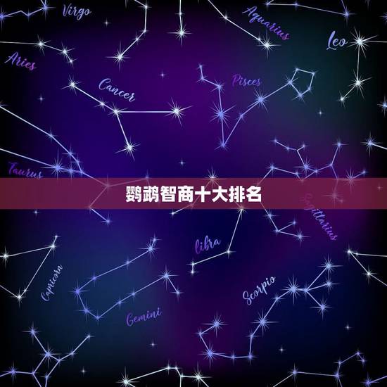 鹦鹉智商十大排名,哪种玄凤鹦鹉最聪明 鹦鹉智商十大排名,哪种玄凤鹦鹉最聪明