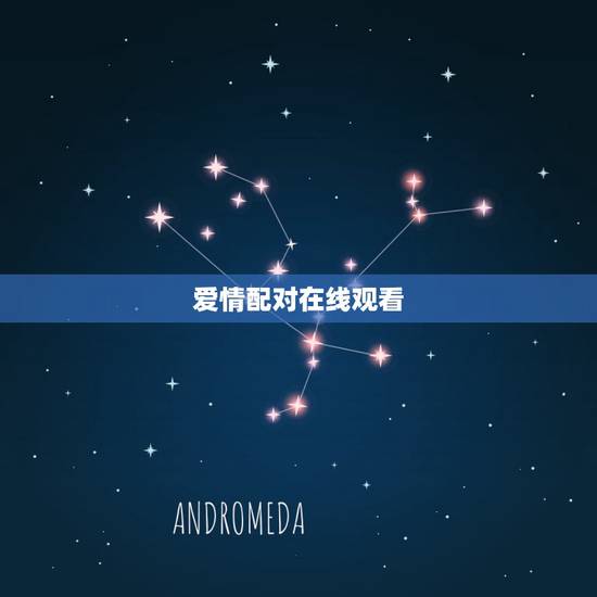 爱情配对在线观看，爱情配对测试