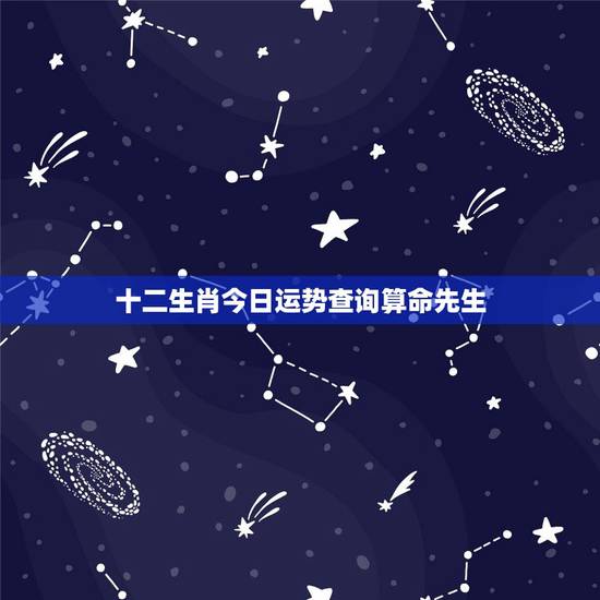 十二生肖今日运势查询算命先生，十二生肖一生运势马？