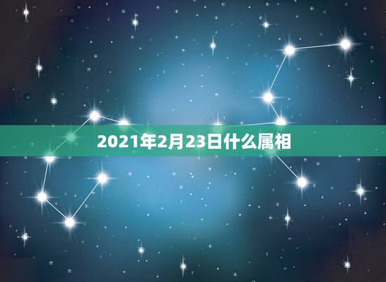 2021年2月23日什么属相，2021年2月3日属什么属相