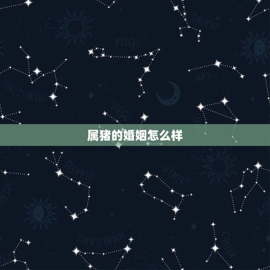 属猪的婚姻怎么样,1995年属猪姻缘 属猪的婚姻怎么样,1995年属猪姻缘