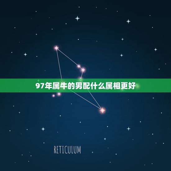 97年属牛的男配什么属相更好,男属牛的最佳配偶是什么属性97年的牛 97年属牛的男配什么属相更好,男属牛的最佳配偶是什么属性97年的牛