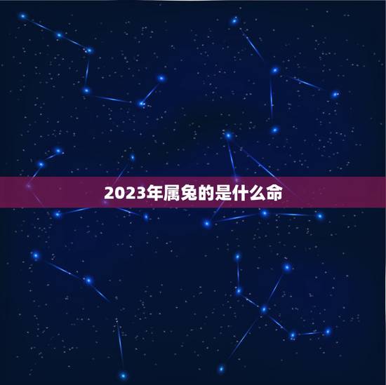 2023年属兔的是什么命，2023年生兔宝宝好不好