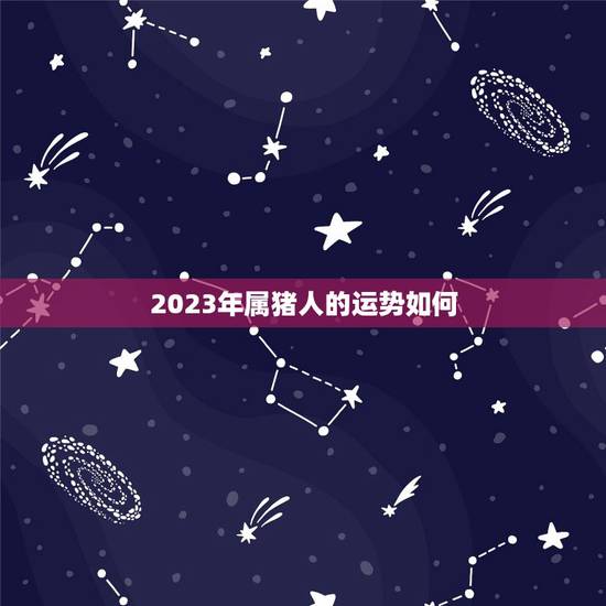2023年属猪人的运势如何，2023年属猪人的运势详解