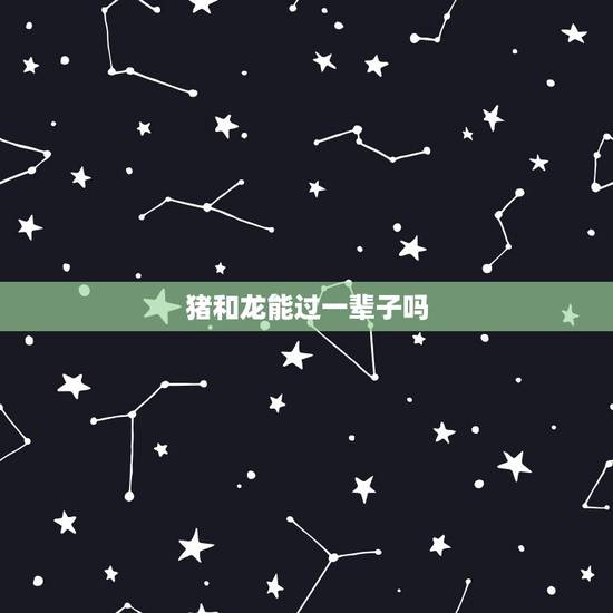 猪和龙能过一辈子吗，猪与龙的关系