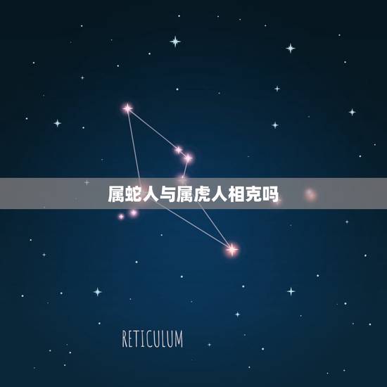 属蛇人与属虎人相克吗，蛇和虎相配婚姻如何