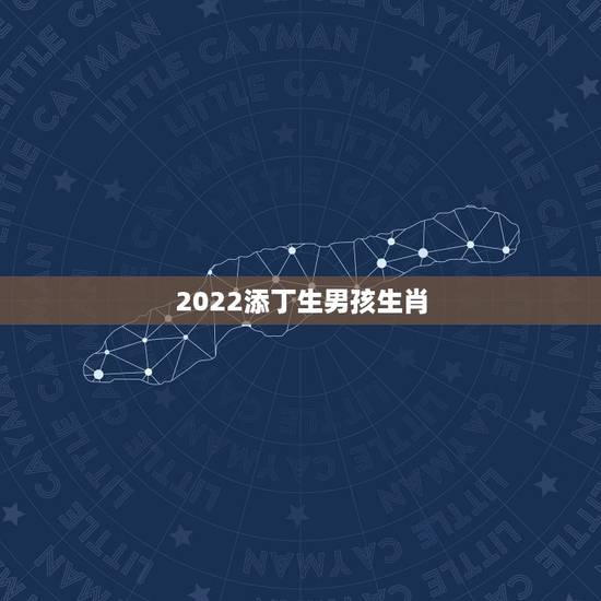 2022添丁生男孩生肖，在古代历史上，为什么生男孩叫“添丁”生女孩叫“