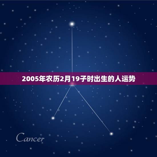 2005年农历2月19子时出生的人运势,81年农历2月十四子时出生人的 2005年农历2月19子时出生的人运势,81年农历2月十四子时出生人的