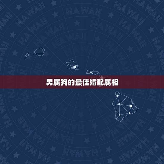 男属狗的最佳婚配属相,属狗的男人和什么属相最配 男属狗的最佳婚配属相,属狗的男人和什么属相最配