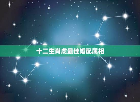 十二生肖虎最佳婚配属相，属虎的和什么属相最配 属相婚配