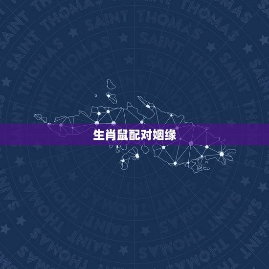 生肖鼠配对姻缘,生肖鼠配生肖鼠怎样 生肖鼠配对姻缘,生肖鼠配生肖鼠怎样