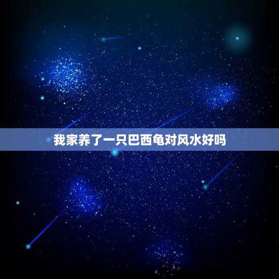 我家养了一只巴西龟对风水好吗，养乌龟对风水有什么讲究