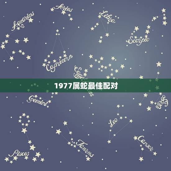 1977属蛇最佳配对,属蛇和什么属相最配 属蛇的最佳配偶 1977属蛇最佳配对,属蛇和什么属相最配 属蛇的最佳配偶