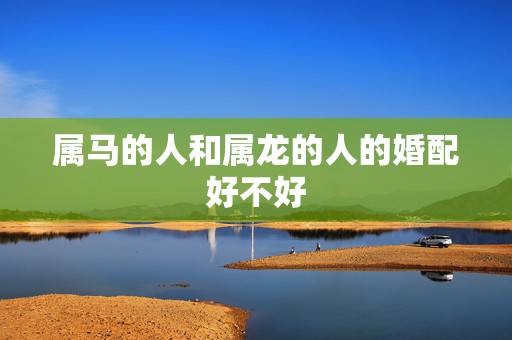 属马的人和属龙的人的婚配好不好,属马和属龙相配吗 属马的人和属龙的人的婚配好不好,属马和属龙相配吗