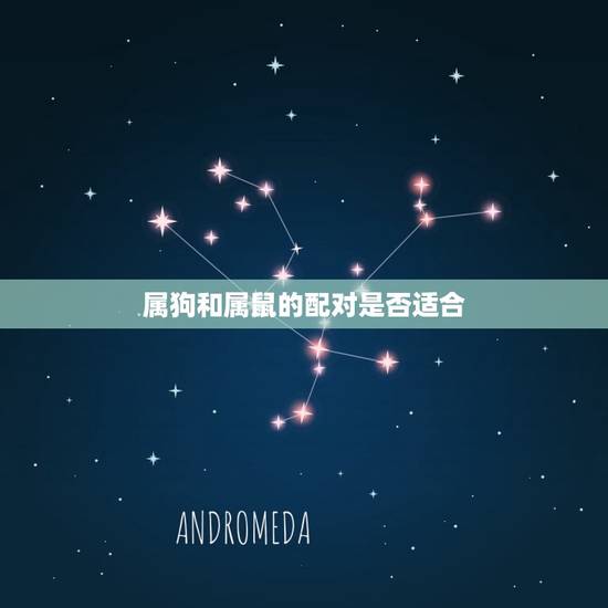 属狗和属鼠的配对是否适合