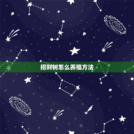 招财树怎么养殖方法,招财树的养殖方法和注意事项(10年养殖经验分享) 招财树怎么养殖方法,招财树的养殖方法和注意事项(10年养殖经验分享)