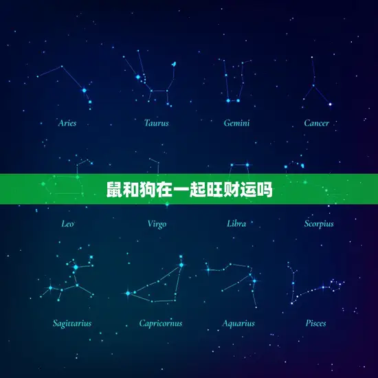 鼠和狗在一起旺财运吗