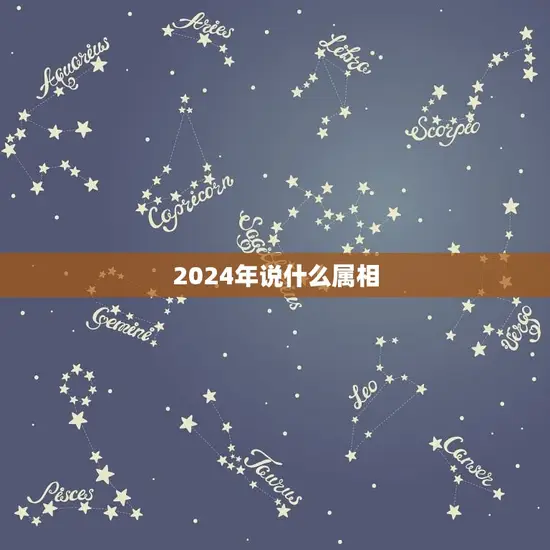 2024年说什么属相