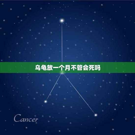 乌龟放一个月不管会死吗，我要出远门家里没人喂养龟龟怎么办在池子里的龟龟