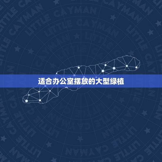 适合办公室摆放的大型绿植,办公室放什么大植物好 适合办公室摆放的大型绿植,办公室放什么大植物好