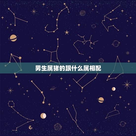男生属猪的跟什么属相配,95年属猪男的和什么属相最配 男生属猪的跟什么属相配,95年属猪男的和什么属相最配