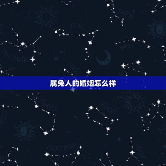 属兔人的婚姻怎么样，属蛇和属马的婚姻怎么样