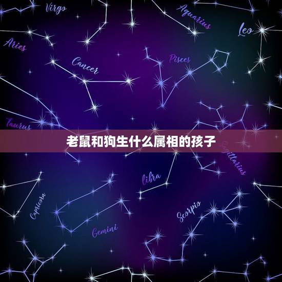 老鼠和狗生什么属相的孩子，老公属狗，我属鼠，生个什么属相的宝宝的好呀？