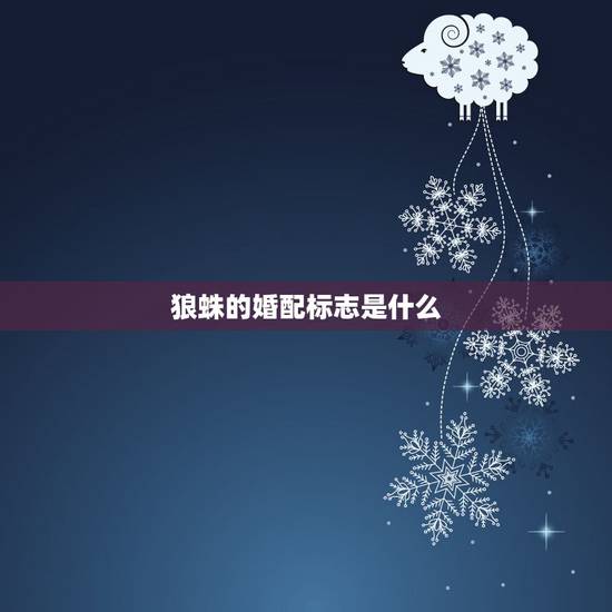 狼蛛的婚配标志是什么,狼蛛长什么样子? 狼蛛的婚配标志是什么,狼蛛长什么样子?