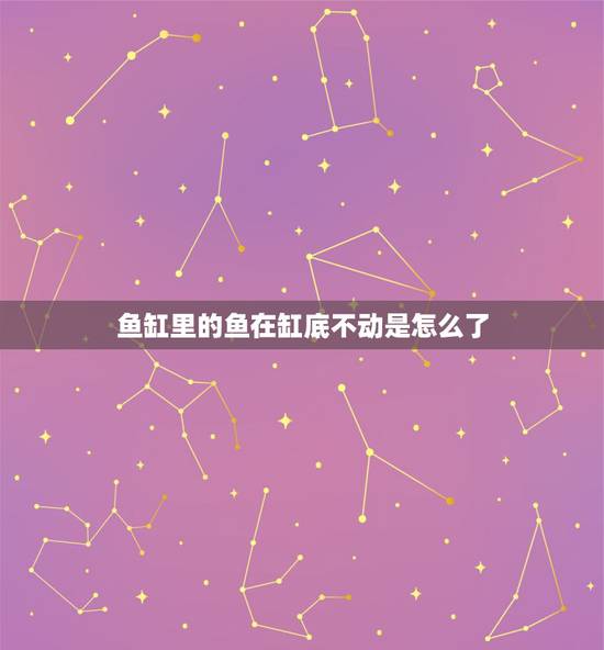 鱼缸里的鱼在缸底不动是怎么了，我养的皮球鱼总是待在鱼缸底部，而且不动地