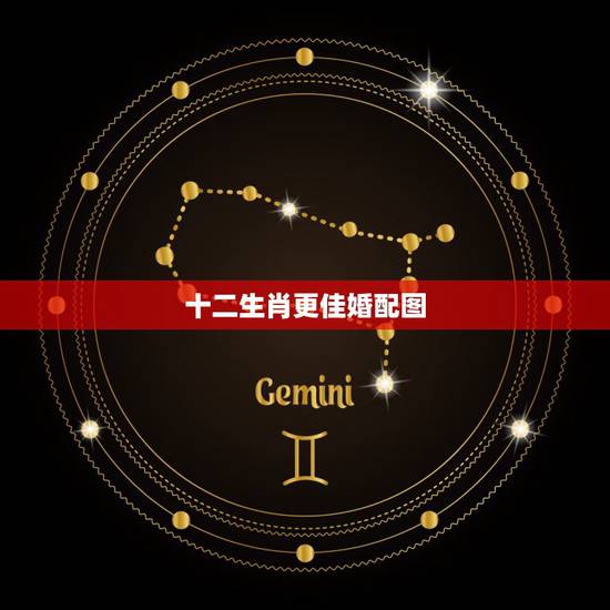 十二生肖更佳婚配图，十二生肖图片大全大图