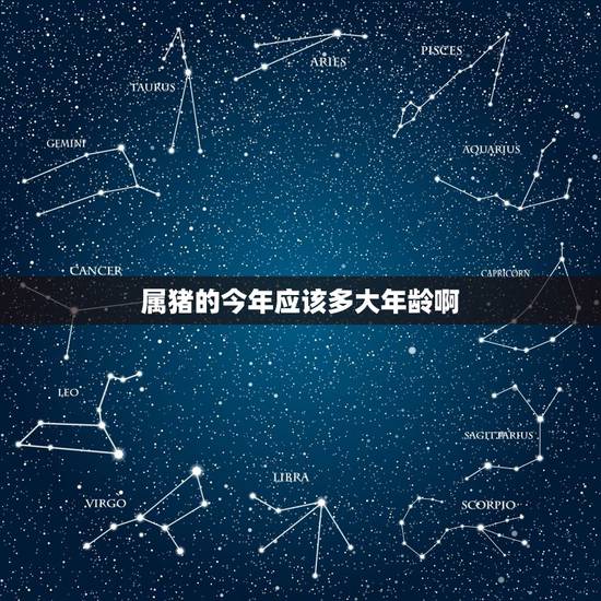 属猪的今年应该多大年龄啊，属猪的60几岁