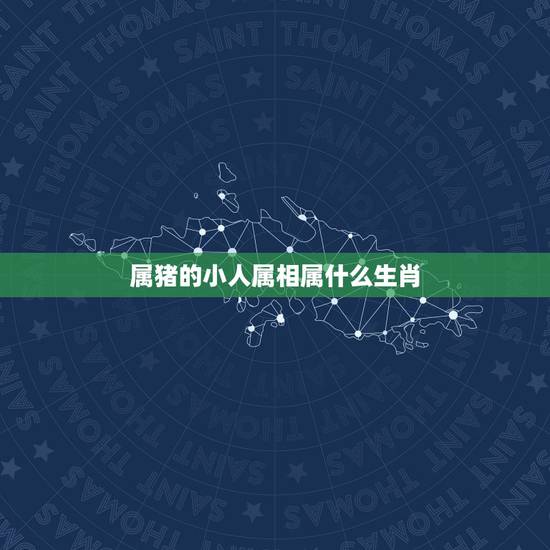 属猪的小人属相属什么生肖，属猪人和什么属相的结婚不好