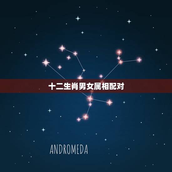 十二生肖男女属相配对，属相配对说：生肖配对能判断男女婚配吗