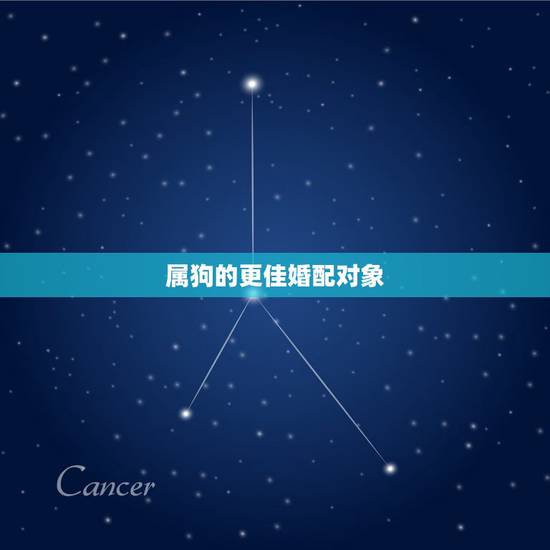 属狗的更佳婚配对象，属狗更佳婚配前十名属相