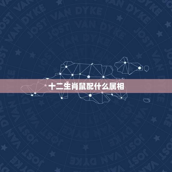 十二生肖鼠配什么属相,男女婚姻属相配对表 十二生肖鼠配什么属相,男女婚姻属相配对表