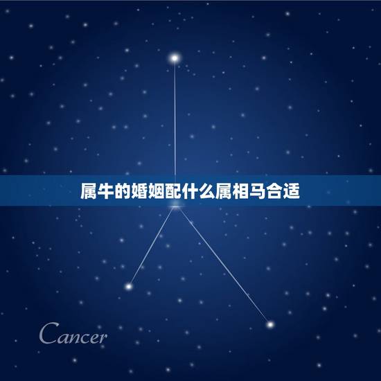 属牛的婚姻配什么属相马合适，1997属牛男和什么属相婚配合适
