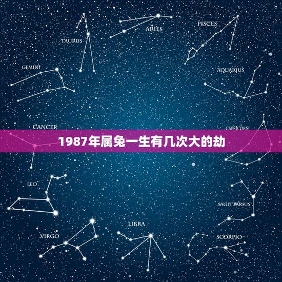 1987年属兔一生有几次大的劫,87属兔一生有几次婚姻 1987年属兔一生有几次大的劫,87属兔一生有几次婚姻