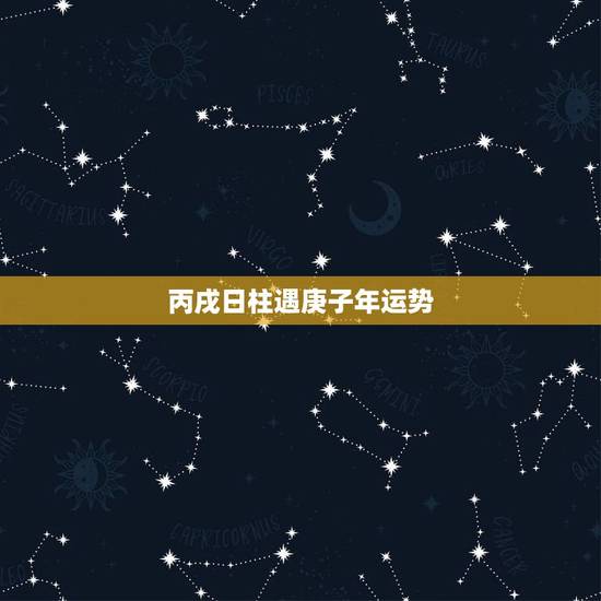丙戌日柱遇庚子年运势，丙戌日庚子流年