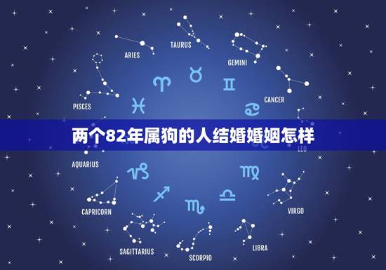 两个82年属狗的人结婚婚姻怎样，我朋友是82年属狗的 我是88年属龙的