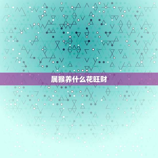属猴养什么花旺财，属猴的2022 适合养什么花