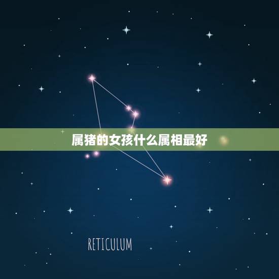 属猪的女孩什么属相最好，属猪的女孩和什么属相最配