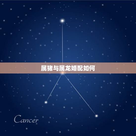 属猪与属龙婚配如何,属猪男配属龙女好不好 属猪与属龙婚配如何,属猪男配属龙女好不好