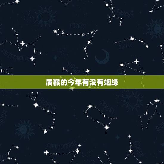 属猴的今年有没有姻缘,属猴女今年爱情会成功吗 属猴的今年有没有姻缘,属猴女今年爱情会成功吗