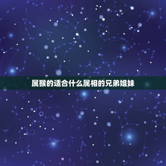 属猴的适合什么属相的兄弟姐妹,属猴人适合哪种属相 属猴的适合什么属相的兄弟姐妹,属猴人适合哪种属相