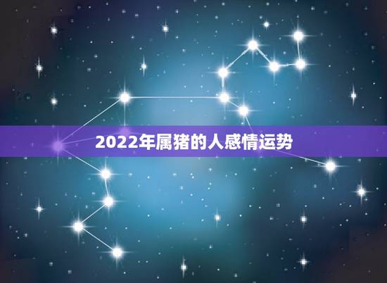 2022年属猪的人感情运势，2022年运势最好的生肖