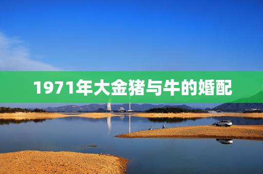 1971年大金猪与牛的婚配，1971属猪女和1973属牛男婚配好吗