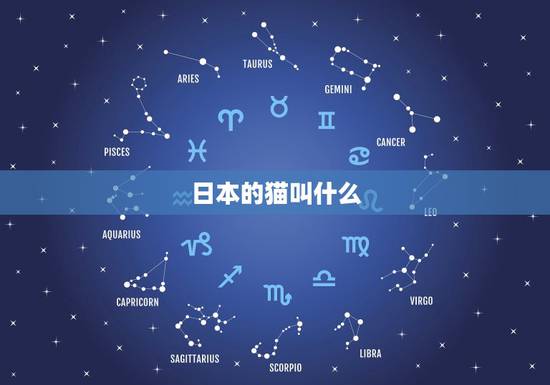 日本的猫叫什么，这猫叫啥名字啊，日本的，求大图啊